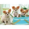 Apollo-Sha Jigsaw Puzzle 48-613 Pretty Chihuahuas (300 Pieces) Discount