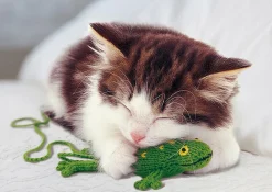 Apollo-Sha Jigsaw Puzzle 41-324 Pet Cat Still Sleepy (108 Pieces) Best