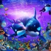 Apollo-Sha Jigsaw Puzzle 48-809 Lassen Brilliant Passage (300 Pieces) Cheap