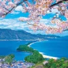 Sale Appleone 1000-868 Jigsaw Puzzle Blooming Cherry Blossoms In Amanohashidate (1000 Pieces)