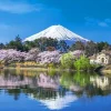 Clearance Appleone 500-280 Jigsaw Puzzle Mt.Fuji And Cherry Blossoms (500 Pieces)