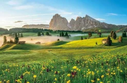Flash Sale Appleone 1000-876 Jigsaw Puzzle Plateau Morning Dolomites (1000 Pieces)