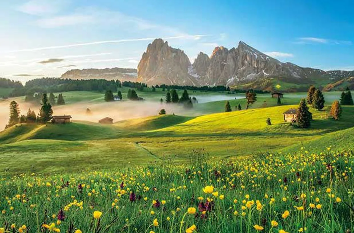 Flash Sale Appleone 1000-876 Jigsaw Puzzle Plateau Morning Dolomites (1000 Pieces)