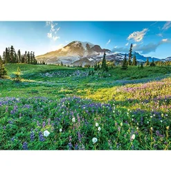 Flash Sale Appleone Jigsaw 500-269 Beautiful Mount Rainier (500 Pieces)