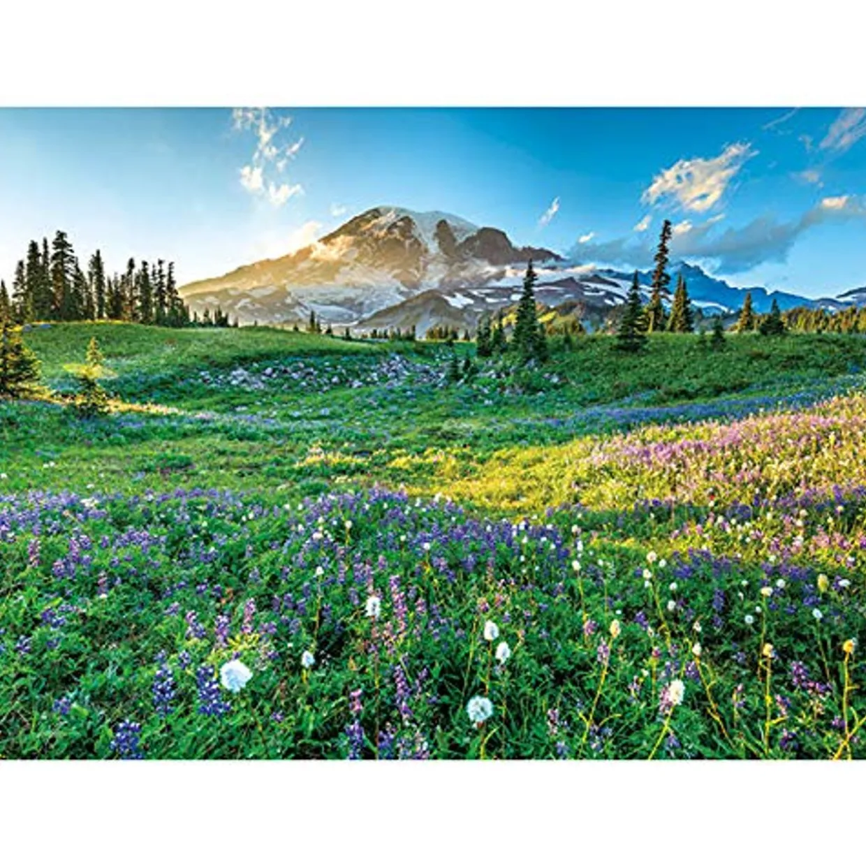 Flash Sale Appleone Jigsaw 500-269 Beautiful Mount Rainier (500 Pieces)