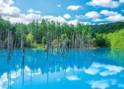 Best Sale Appleone Jigsaw 500-263 Biei Shirogane Blue Pond (500 Pieces)