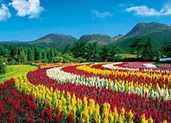 Hot Appleone Jigsaw Puzzle 500-253 Celosia Argentea Mount Kuju Oita Japan (500 Pieces)