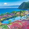 Hot Appleone Jigsaw Puzzle 500-252 Hana Peach Mt. Fuji Shizuoka Japan (500 Pieces)