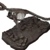 Best Bandai Imaginary Skeleton 1/32 Mosasaurus Plastic Model