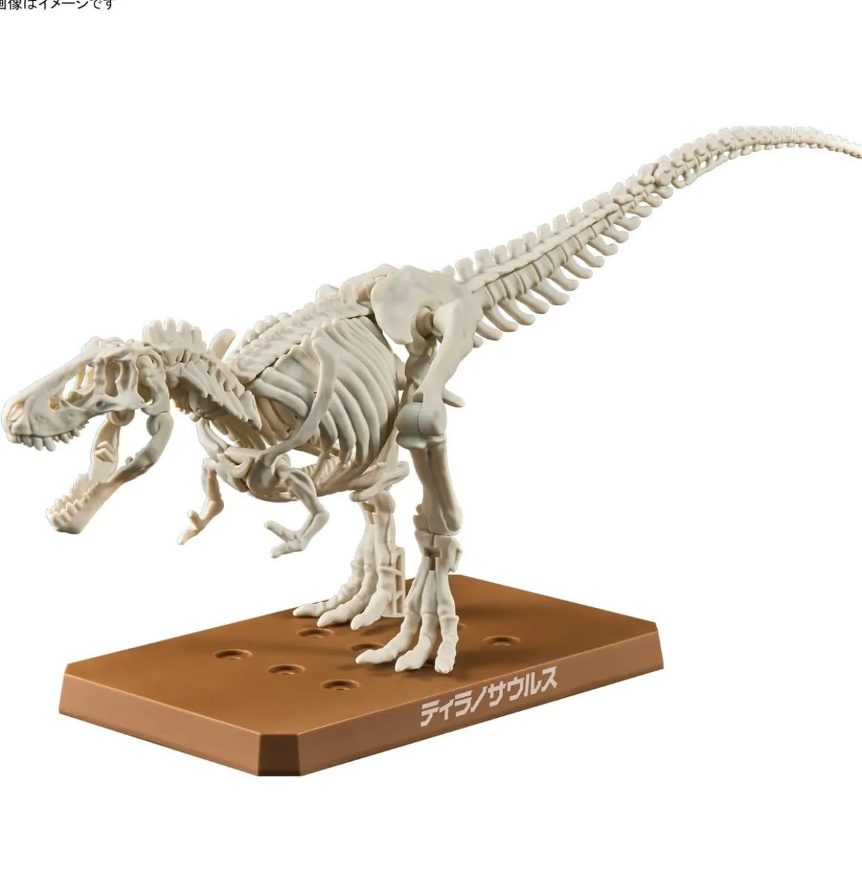 Fashion Bandai Plannosaurus Tyrannosaurus Plastic Model