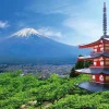 Sale Beverly 51-297 Jigsaw Puzzle Asama Shrine Overlooking Mt.Fuji (1000 Pieces)