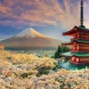 Hot Beverly 66-206 Jigsaw Puzzle Asama Shrine And Mt.Fuji With Cherry Blossoms (600 Pieces)