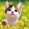 Sale Beverly 83-105 Jigsaw Puzzle Cat Wandering In The Grass (300 Pieces)