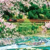 Hot Beverly 51-292 Jigsaw Puzzle Cherry Blossoms In Hozukyo Kyoto Japan(1000 Pieces)
