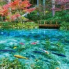 Hot Beverly 51-293 Jigsaw Puzzle Colorful Monet's Pond (1000 Pieces)