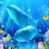 Cheap Beverly 83-122 Jigsaw Puzzle Dolphin Smile (300 Pieces)