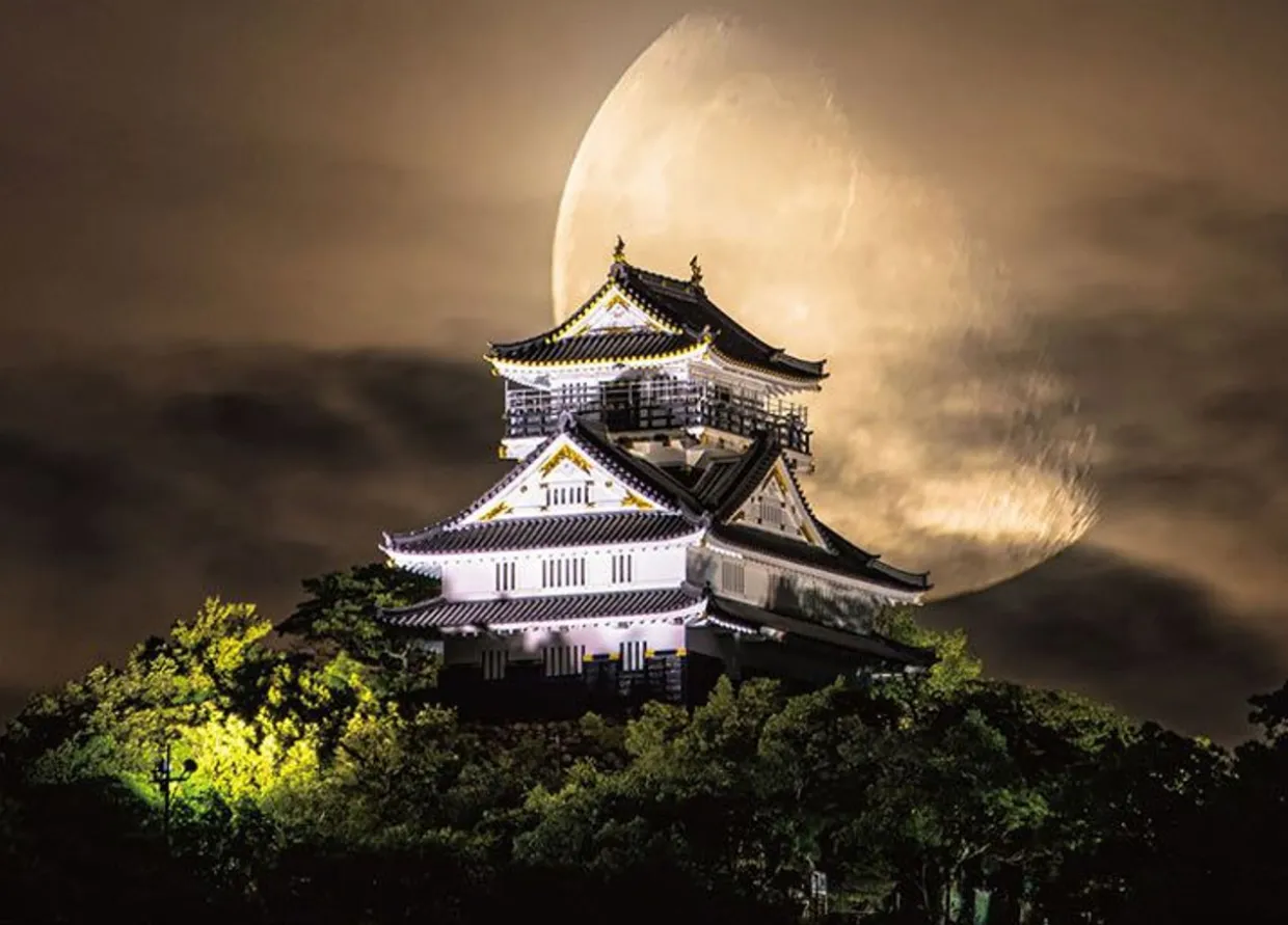 Flash Sale Beverly 66-199 Jigsaw Puzzle Gifu Castle And The Moon (600 Pieces)