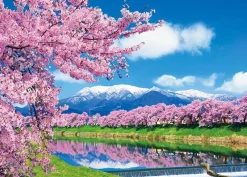 Cheap Beverly 66-156 Jigsaw Puzzle Ichimoku Senbon Sakura (Cherry Blossoms In Miyagi, Japan) (600 Pieces)