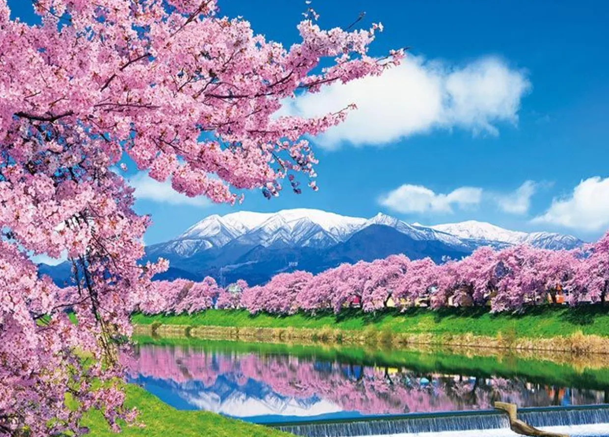 Cheap Beverly 66-156 Jigsaw Puzzle Ichimoku Senbon Sakura (Cherry Blossoms In Miyagi, Japan) (600 Pieces)