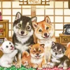 Flash Sale Beverly 31-515 Jigsaw Puzzle Kayomi Harai Japanese Dog Family Always Together (1000 Pieces)