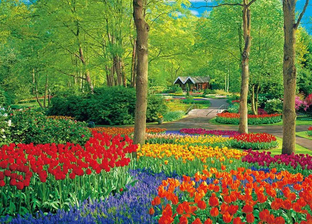 Online Beverly 66-180 Jigsaw Puzzle Keukenhof Flower Garden (600 Pieces)