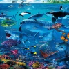 Hot Beverly 100-029 Jigsaw Puzzle Let's Learn The Sea Animals In Japanese (100 L-Pieces)