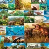Hot Beverly 31-505 Jigsaw Puzzle Life Of Dinosaurs (1000 Pieces)