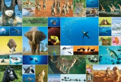 Sale Beverly 31-504 Jigsaw Puzzle Life Of Animals (1000 Pieces)