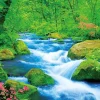 Discount Beverly 66-212 Jigsaw Puzzle Oirase Gorge In Japan (600 Pieces)
