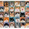 New Beverly 61-461 Jigsaw Puzzle Okamoto Hajime Cat Collection (1000 Pieces)