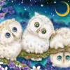 Discount Beverly 66-178 Jigsaw Puzzle Three Little Owls (600 Pieces)