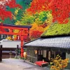 Flash Sale Beverly Jigsaw Puzzle 51-264 Autumn Leaves Torii Shrine Gateway In Kyoto Japan (1000 Pieces)