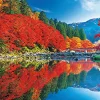 Online Beverly Jigsaw Puzzle 33-178 Autumn In Korankei Aichi Japan (300 Pieces)