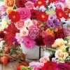 Best Sale Beverly Jigsaw Puzzle 93-120 Elegance Rose (300 Pieces)
