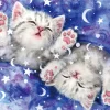Cheap Beverly Jigsaw Puzzle 33-168 In A Dream Kayomi Harai (300 Pieces)