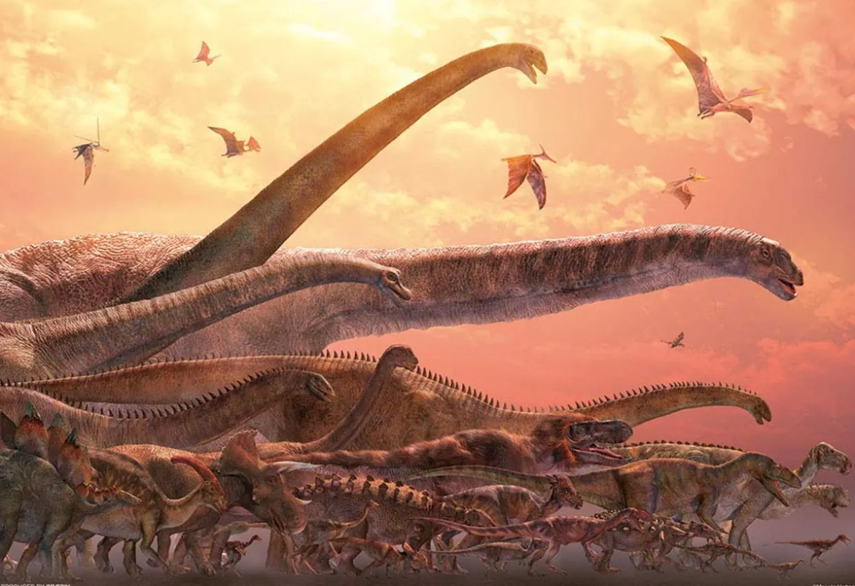 Shop Beverly Jigsaw Puzzle 93-155 Masato Hattori Dinosaur (300 Pieces)