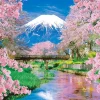 Discount Beverly Jigsaw Puzzle 66-139 Mountain Fuji And Spring In Bloom (600 Pieces)