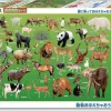 Flash Sale Beverly Jigsaw Puzzle 80-015 Zoo Animals (80 L-Pieces)