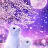 Flash Sale Beverly Jigsaw Puzzle Bunnies Under A Cherry Blossom Tree At Night (1000 S-Pieces)