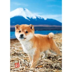 Flash Sale Beverly Jigsaw Puzzle L74-162 Pretty Pet Series Dog Shiba Inu (150 L-Pieces)