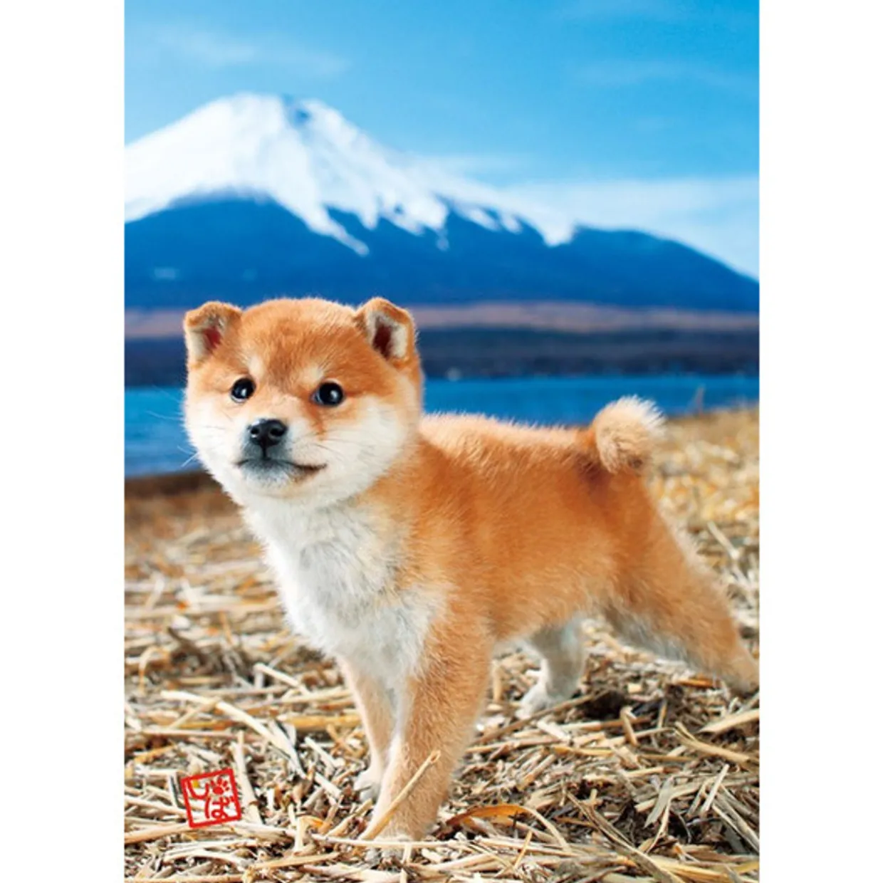Flash Sale Beverly Jigsaw Puzzle L74-162 Pretty Pet Series Dog Shiba Inu (150 L-Pieces)