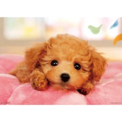 Shop Beverly Jigsaw Puzzle L74-163 Pretty Pet Series Toy Poodle (150 L-Pieces)