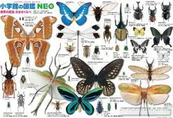 Cheap Beverly Jigsaw Puzzle L74-157 World Insects Encyclopedia (150 L-Pieces)