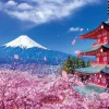 Discount Beverly Jigsaw Puzzle M81-588 Asama Shrine With Fuji Mountain And Cherry Blossom (1000 S-Pieces)