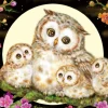 Cheap Beverly Jigsaw Puzzle M81-592 Kayomi Harai Owl Family And Flowers (1000 S-Pieces)