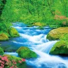 Store Beverly Jigsaw Puzzle M81-574 Oirasekeiryuu Stream (1000 S-Pieces)