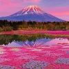 Best Sale Beverly Jigsaw Puzzle M81-597 Sunset Mount Fuji (1000 S-Pieces)