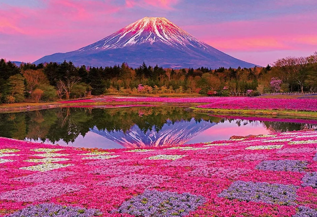 Best Sale Beverly Jigsaw Puzzle M81-597 Sunset Mount Fuji (1000 S-Pieces)
