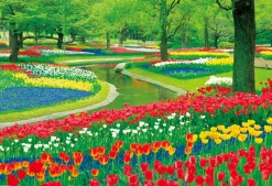 Cheap Beverly Jigsaw Puzzle M81-577 Tulip Park (1000 S-Pieces)
