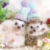 Fashion Beverly Jigsaw Puzzle P33-182 Azuki And Monaka The Hedgehog (300 Pieces)
